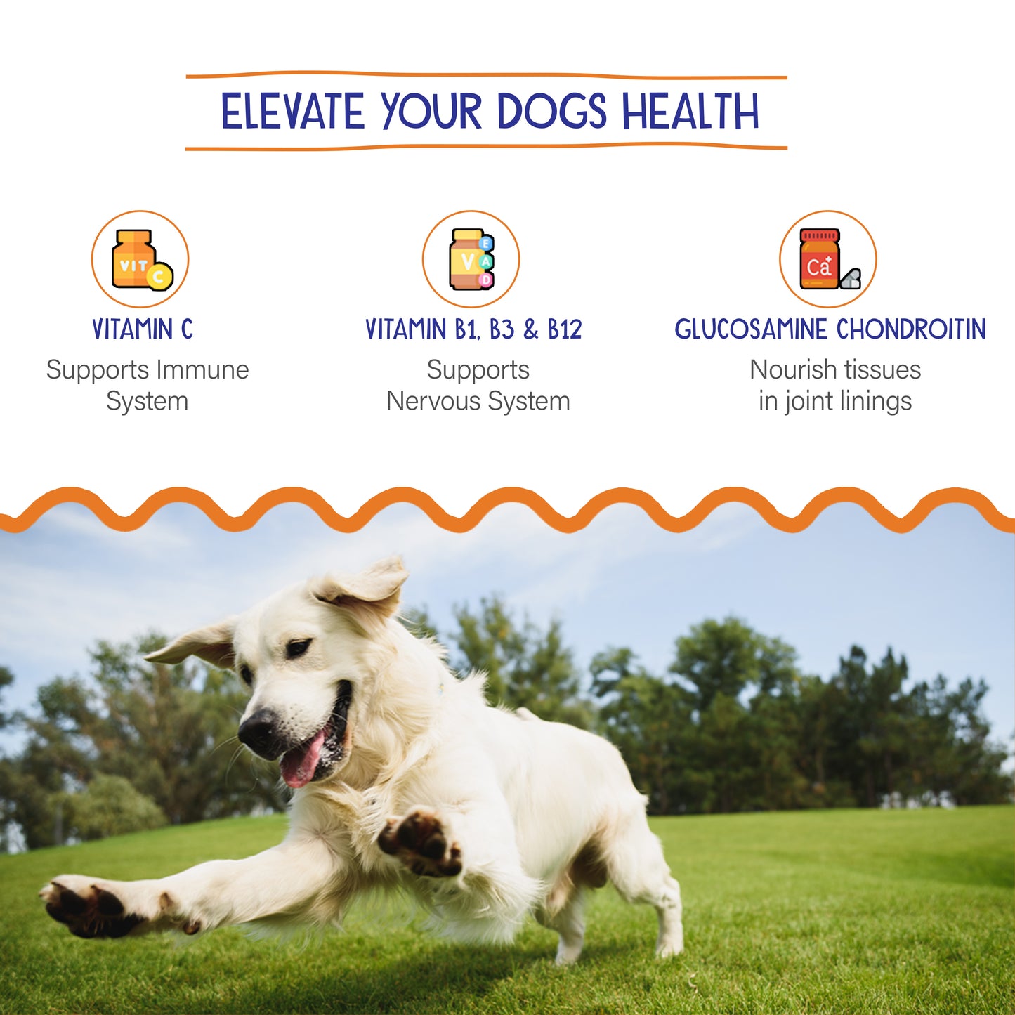 Petvit Joint-Cartilage Supplement - Convenient Daily Dose for Pets