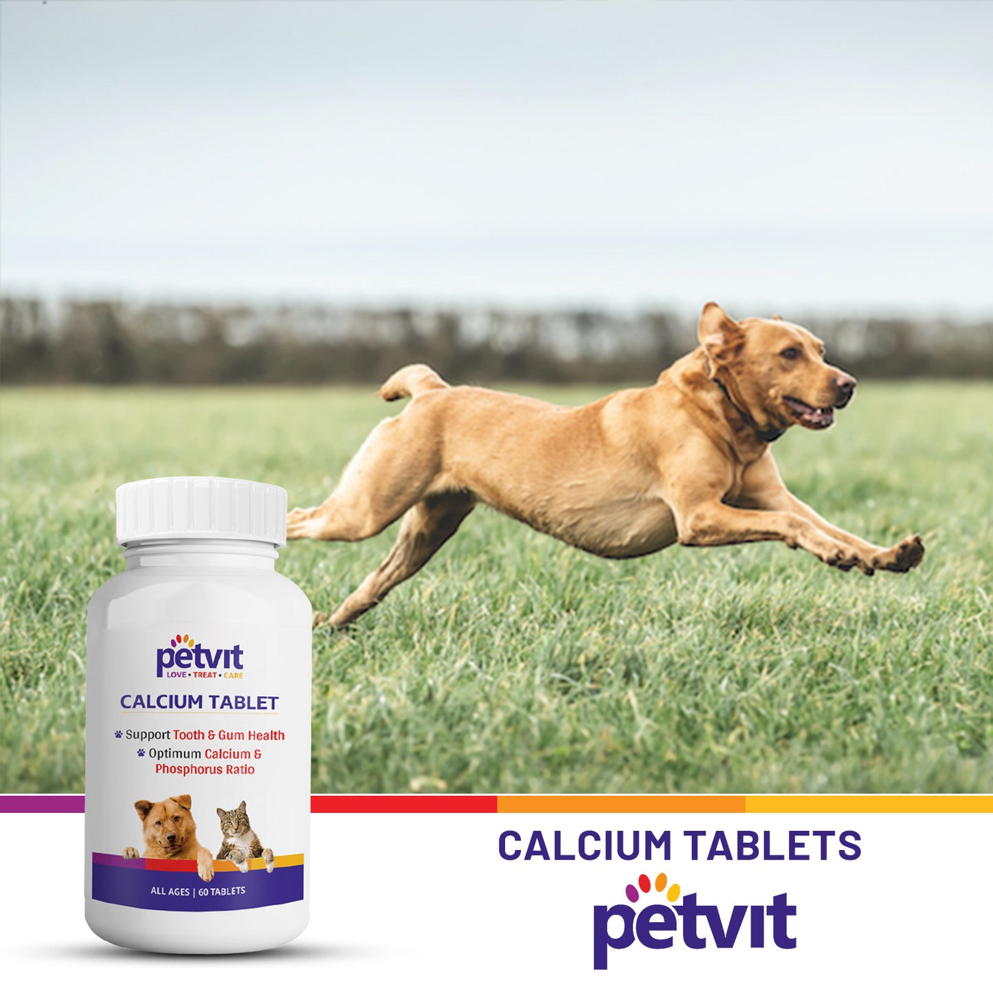 Petvit Calcium Tablet with Calcium, Phosphorus, Vitamin D3 & Vitamin B12 for Dog and Cat for Stronger Bones, Teeth & Growth in Pet for All Age Group – 60 Palatable Chewable Tablets