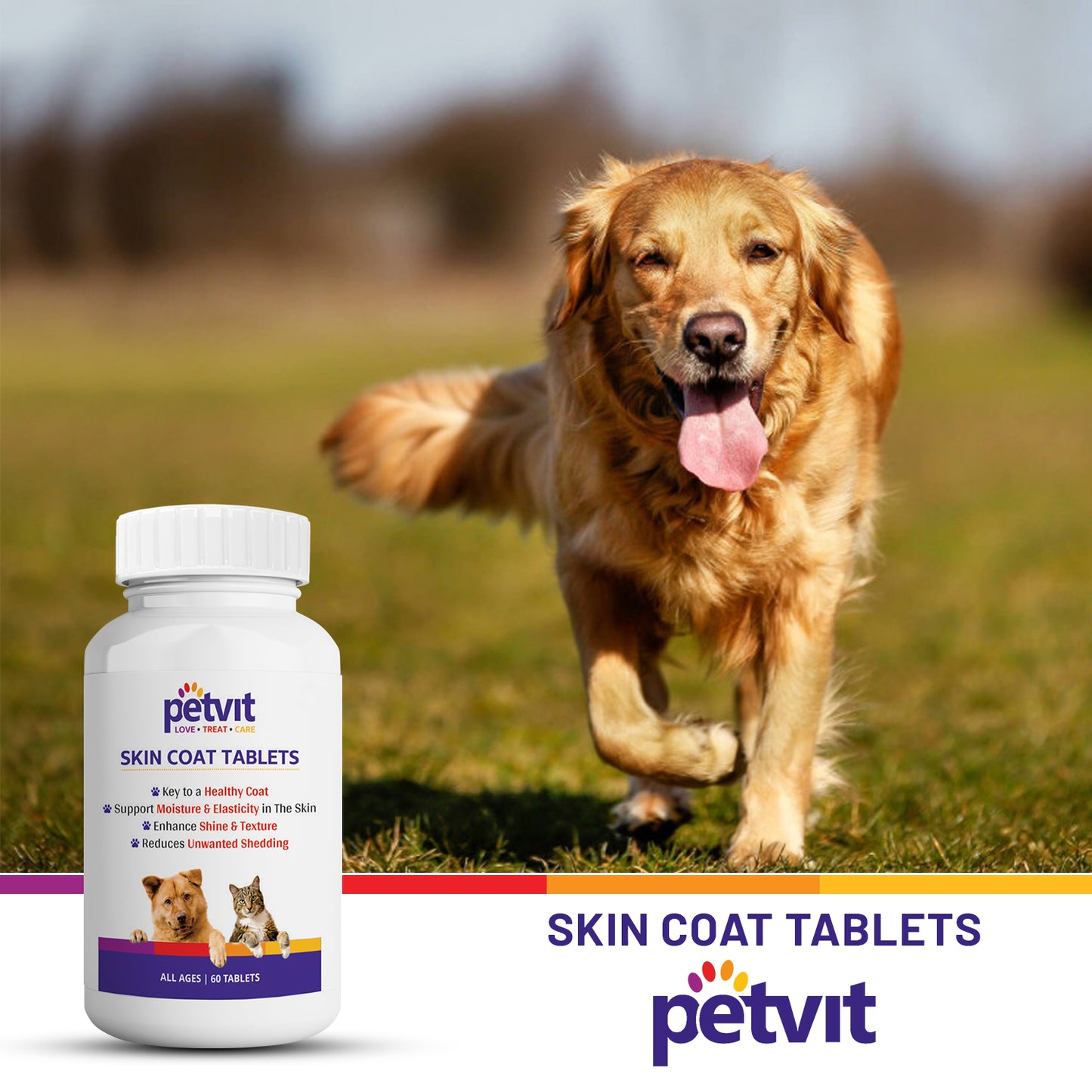 Petvit Dog Skin and Coat Supplement Tablets | Dog Hair Loss Treatment - Added Turmeric & Essential Vitamins | Supports Healthy Skin & Shiny Coat | 60 Tablets