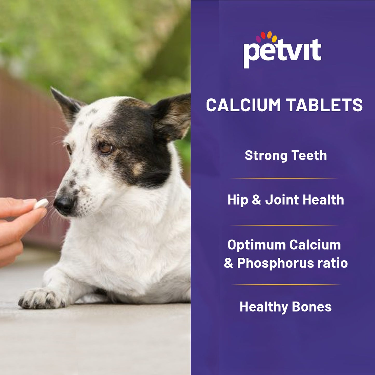 Petvit Calcium Tablet with Calcium, Phosphorus, Vitamin D3 & Vitamin B12 for Dog and Cat for Stronger Bones, Teeth & Growth in Pet for All Age Group – 60 Palatable Chewable Tablets