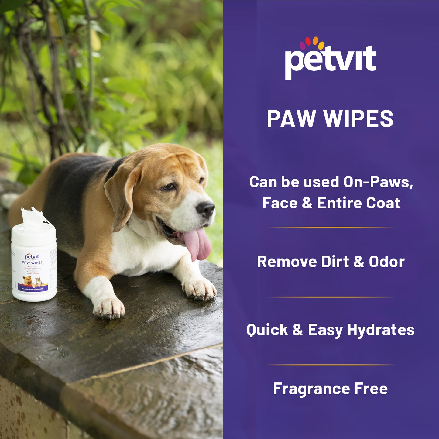 Petvit Nose and Paws Wipes | Gentle Cleaning for Healthy Skin, Mild Formula Designed for Sensitive Nose and Paws - 50 Wipes