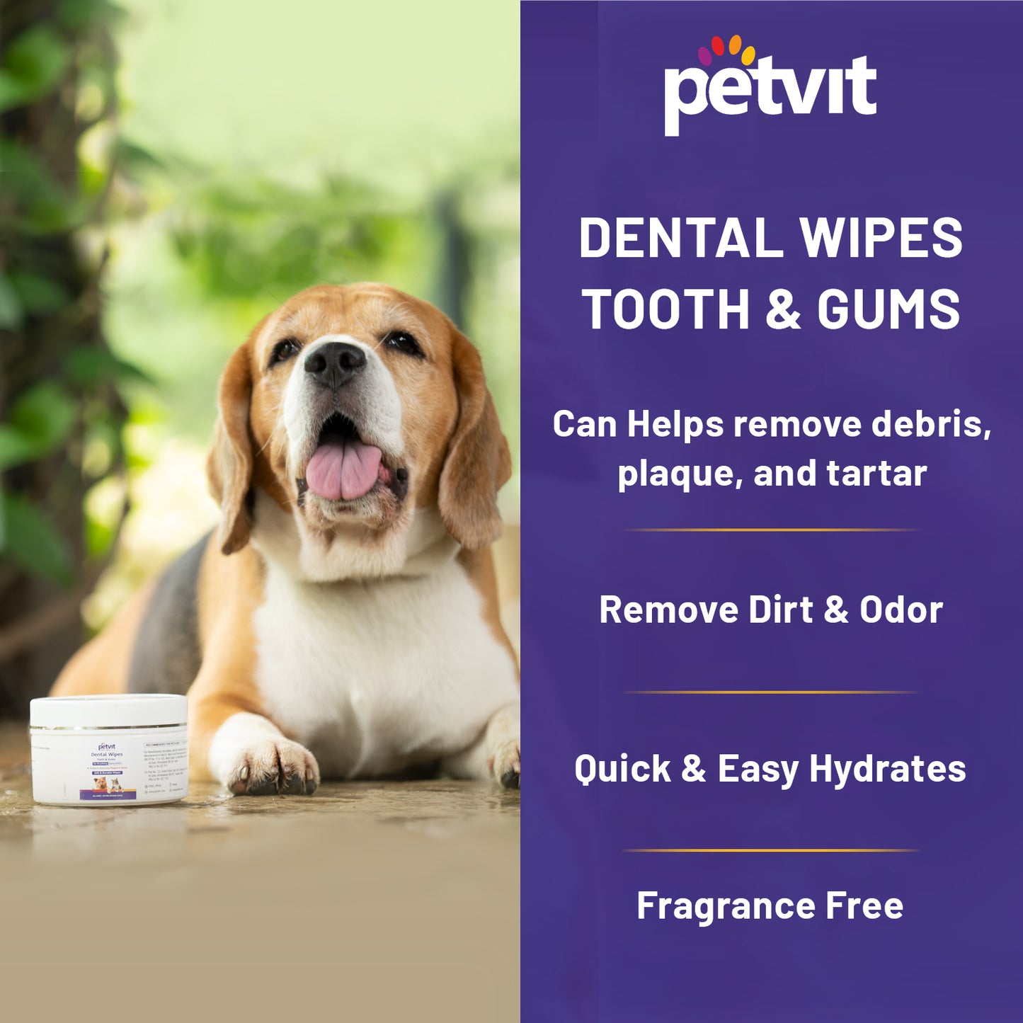 Petvit Dog Wipes for Cleaning Tooth & Gum | Contains Peppermint Oil & Menthol | Wet Wipes Dog Dental Care | Freshens Breath & Cleans Teeth | Removes Plaque, Tartar and Debris | 50 Pulls