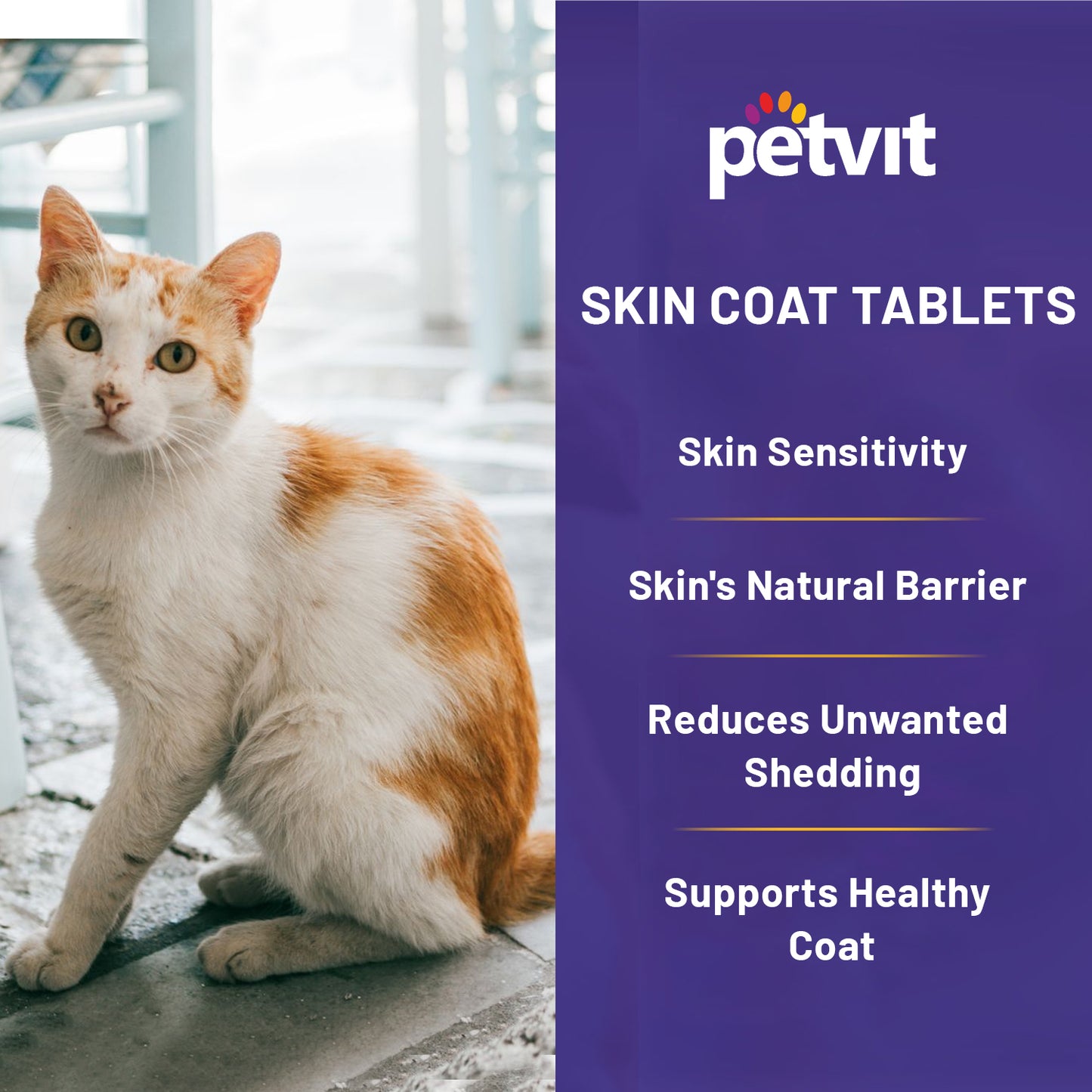 Petvit Dog Skin and Coat Supplement Tablets | Dog Hair Loss Treatment - Added Turmeric & Essential Vitamins | Supports Healthy Skin & Shiny Coat | 60 Tablets