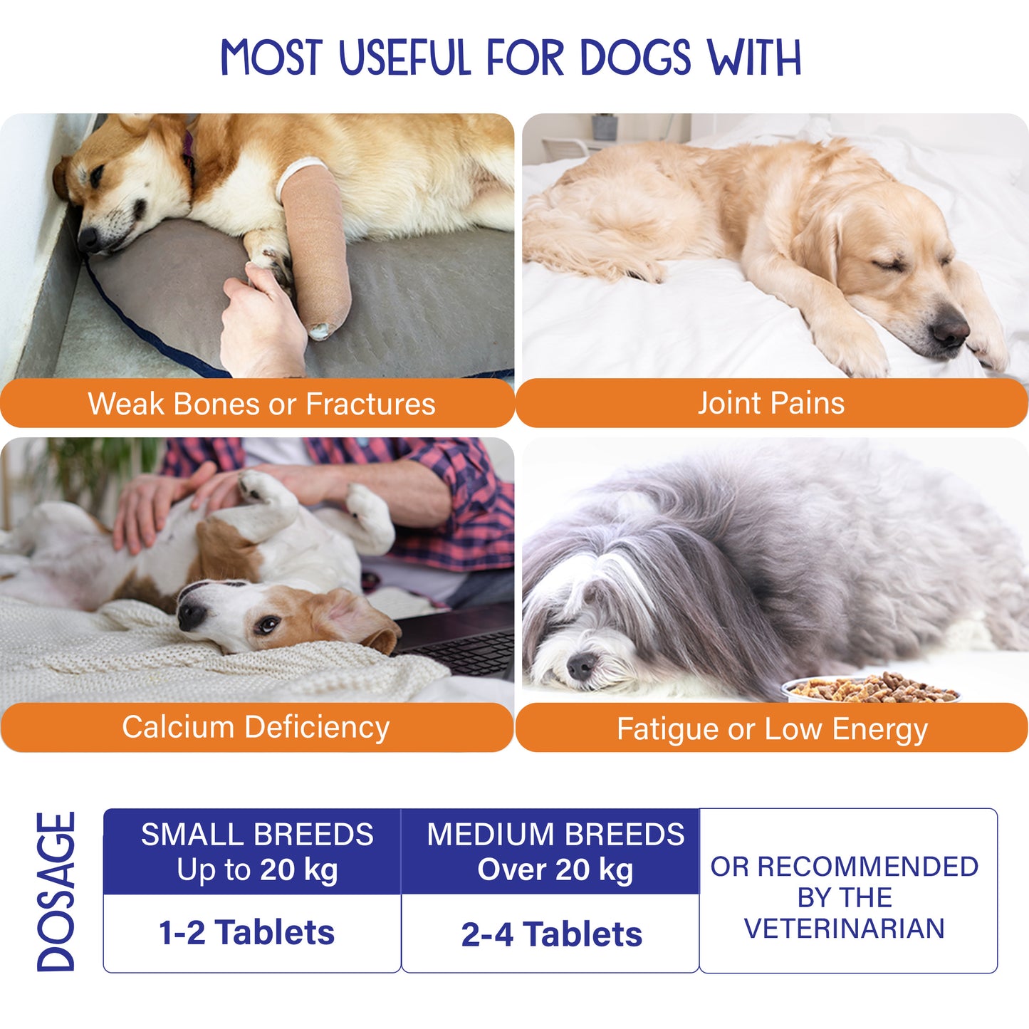 Petvit Joint Supplement - Helps Improve Mobility in Pets