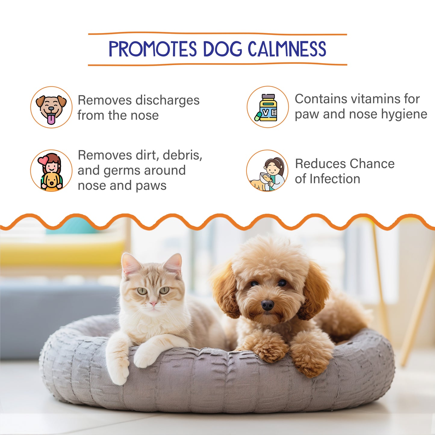 Petvit dog wipes - pack of 50 for daily grooming