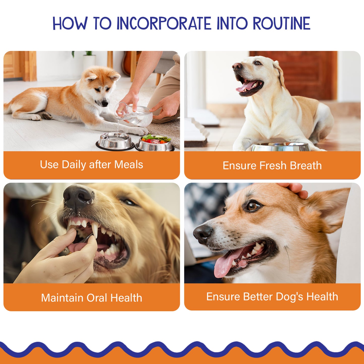 Petvit Dog Mouth Cleaner - Maintains oral hygiene easily