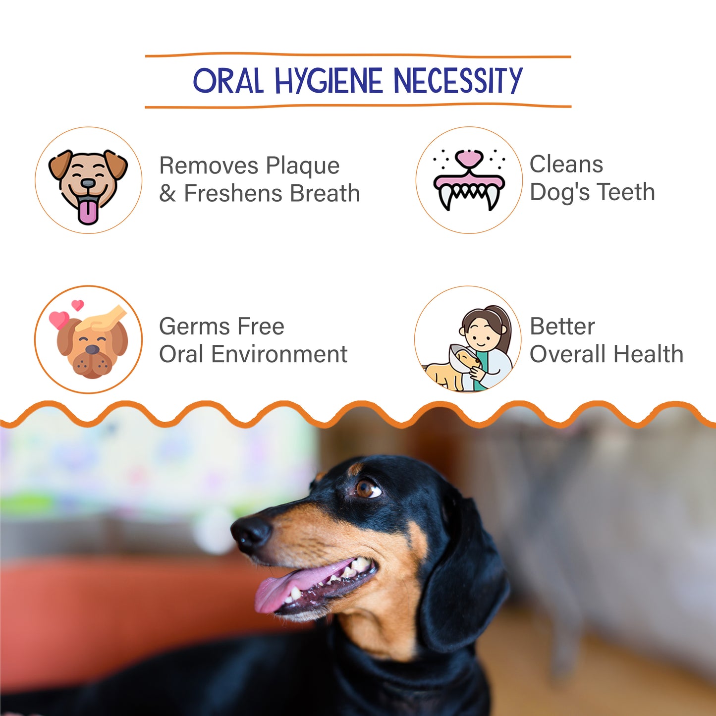 Petvit Dog Mouth Cleaner - Versatile dental care for cats and dogs
