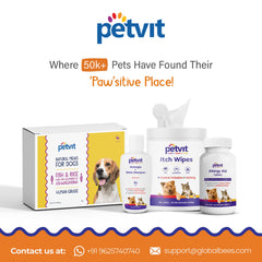 PetVit Anti Tick Dog Shampoo and tick Spray for Dogs Combo | Best Dog Shampoo for Ticks and Fleas | Tick Remover for Dogs | Tea Tree Oil | Lemon Grass Oil | Non Toxic | 200 ml + 100 ml