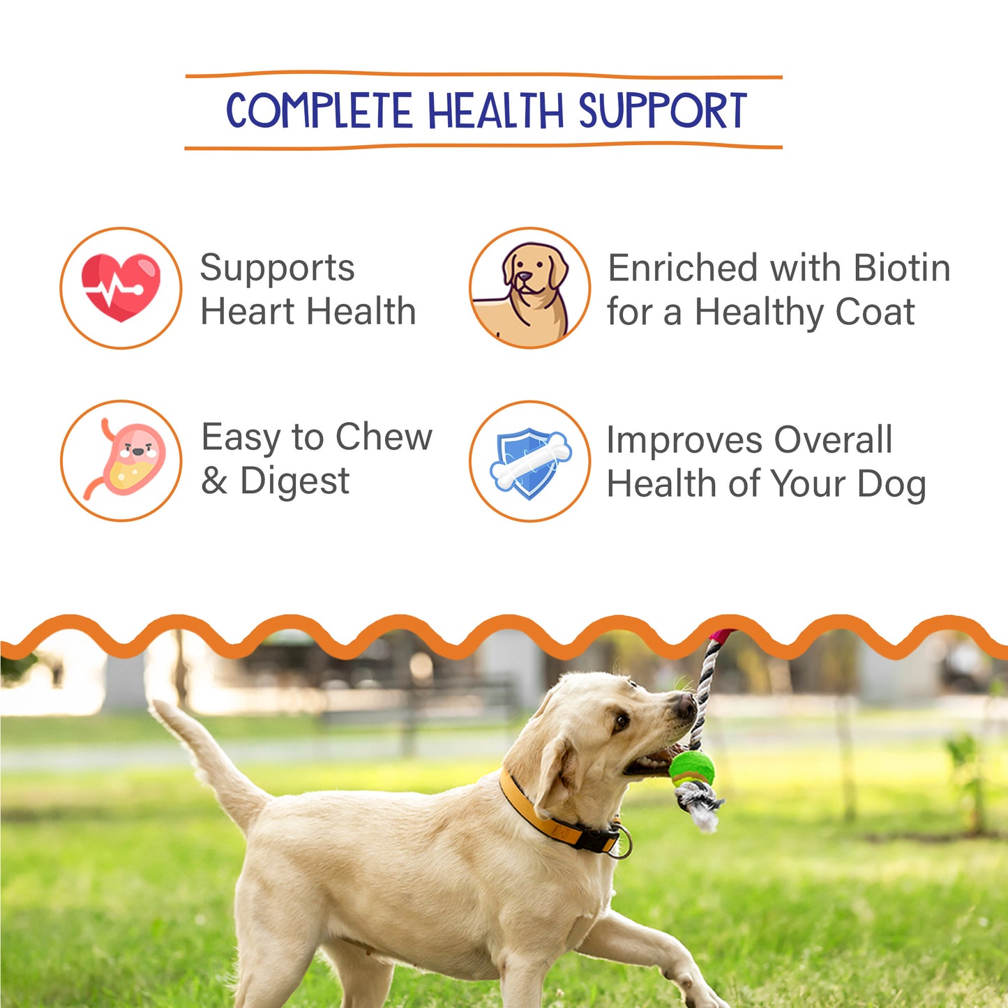 Petvit Multivitamin for Dog - Daily supplement for skin health