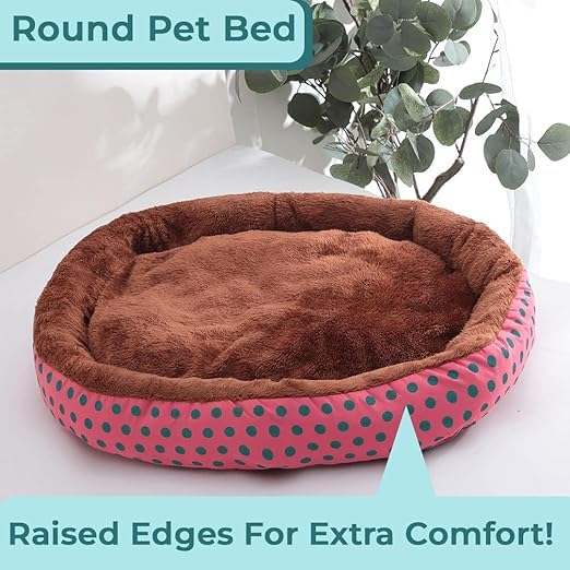 Petvit dog bed - travel-friendly pet bed design