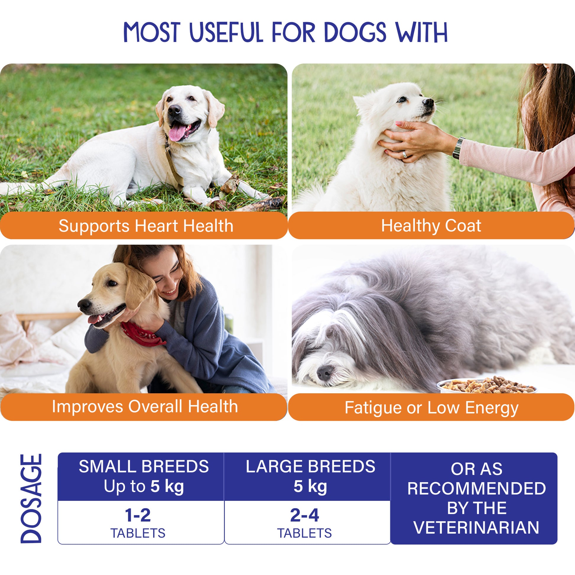 Petvit Multivitamin for Dog - Easy to chew tablets for dogs