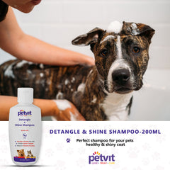 Detangle & Shine Shampoo with Tulsi Oil | Detangles & Conditions for Soft/Shiny/Healthy Coat, Vegan & Cruelty-Free, pH Balanced, Hypoallergenic, For All Breed Dog/Cat - 200ml