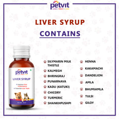 Liver Syrup with 15 Active Ingredients for Healthy Liver- Dog Supplement For All Age Group - 100ml