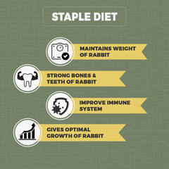 Petvit Rabbit Food with Antioxidants and Prebiotics | Supports Digestive Health and Immunity - 1kg