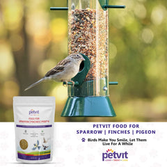 Petvit Food for Sparrow Finches, Pigeon & All Wild Birds, with Yellow Proso | Pearl Millet | Wheat | Com | Foxtail Millet | Oats | Green Proso | Paddy | Food Refill for Bird Feeder | No Chemicals -1kg