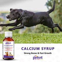 Calcium Syrup with Calcium, Phosphorus, Vitamin D3 & B12 For Dog Stronger Bones, Teeth & Growth in Pet For All Age Group – 100ml (Pack Of 2)